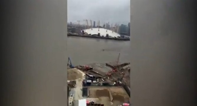 Une étrange créature filmée en train de nager dans la Tamise à Londres