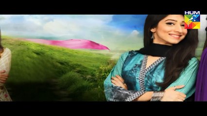 Haya Kay Daman Main Episode 6 Promo HUM TV Drama 05 April 2016
