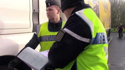 Le contrôle de la chaîne alimentaire #4