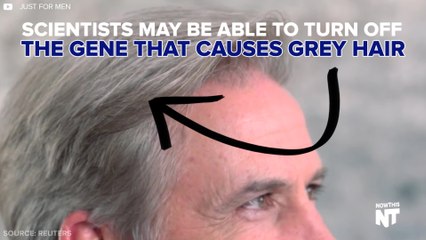 The Grey Hair Gene Has Been Discovered