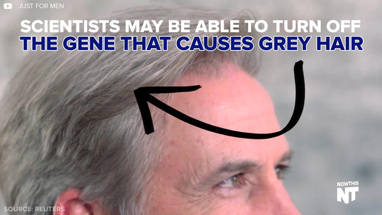 The Grey Hair Gene Has Been Discovered