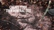 Deer Hunting: How to Make a Mineral Site