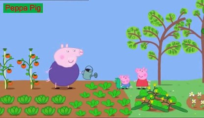 Peppa Pig English Episodes   37 Lunch