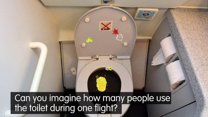What are plane toilets really like?