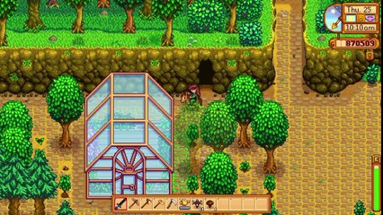 Year 1 Best Practices - Stardew Valley