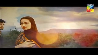 Mana Ka Gharana Last Episode 18 Watch Video Full Dailymotion on Hum Tv - 6th April 2016