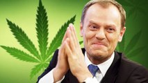 Jakie rośliny hoduje Tusk? [SUCHARY WIDZÓW]