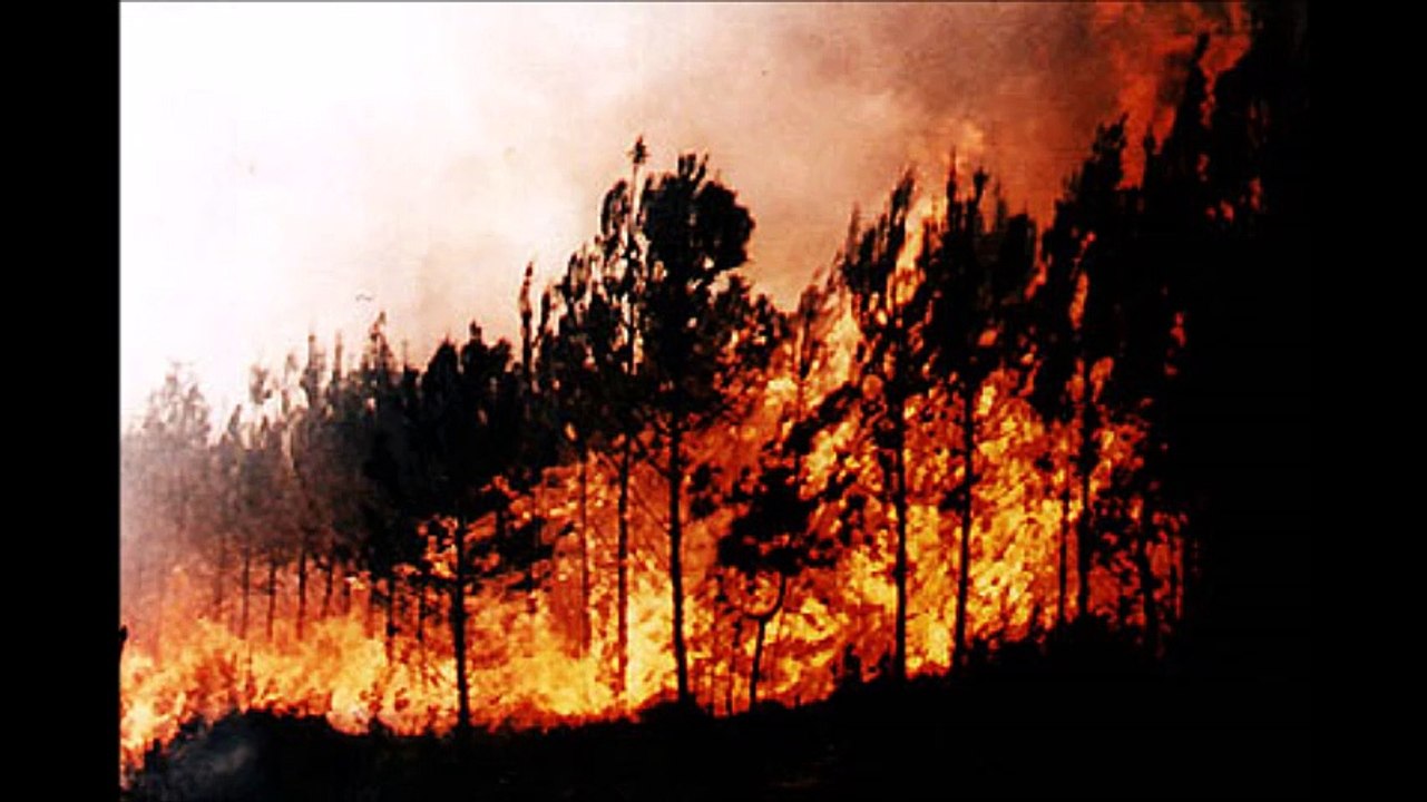 World is on fire, Cherche Chant , Liège , 0494312882