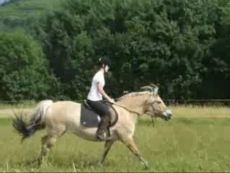 Saut de puce avec Fiona