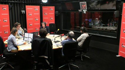 Que pensent les députés du "Panama papers", Le moment Meurice