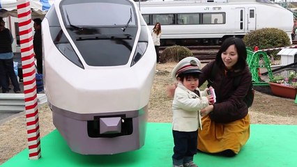 特急ひたち所属 勝田車両センターに行ってきた