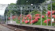 JR東日本　４８５系電車　【東武直通特急】 きぬがわ　鬼怒川温泉 行