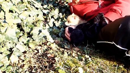 Una Coppia Era Alla Ricerca Di Pietre Preziose... Ma Alla Fine Ha Trovato MOLTO Di Più!