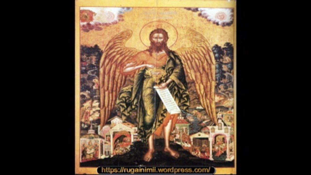 Psaltirea ortodoxă-Catisma 04-psalmii 24-31-IPS Teofan al Moldovei şi Bucovinei