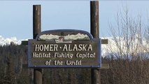 Eagles in Homer Alaska in HD