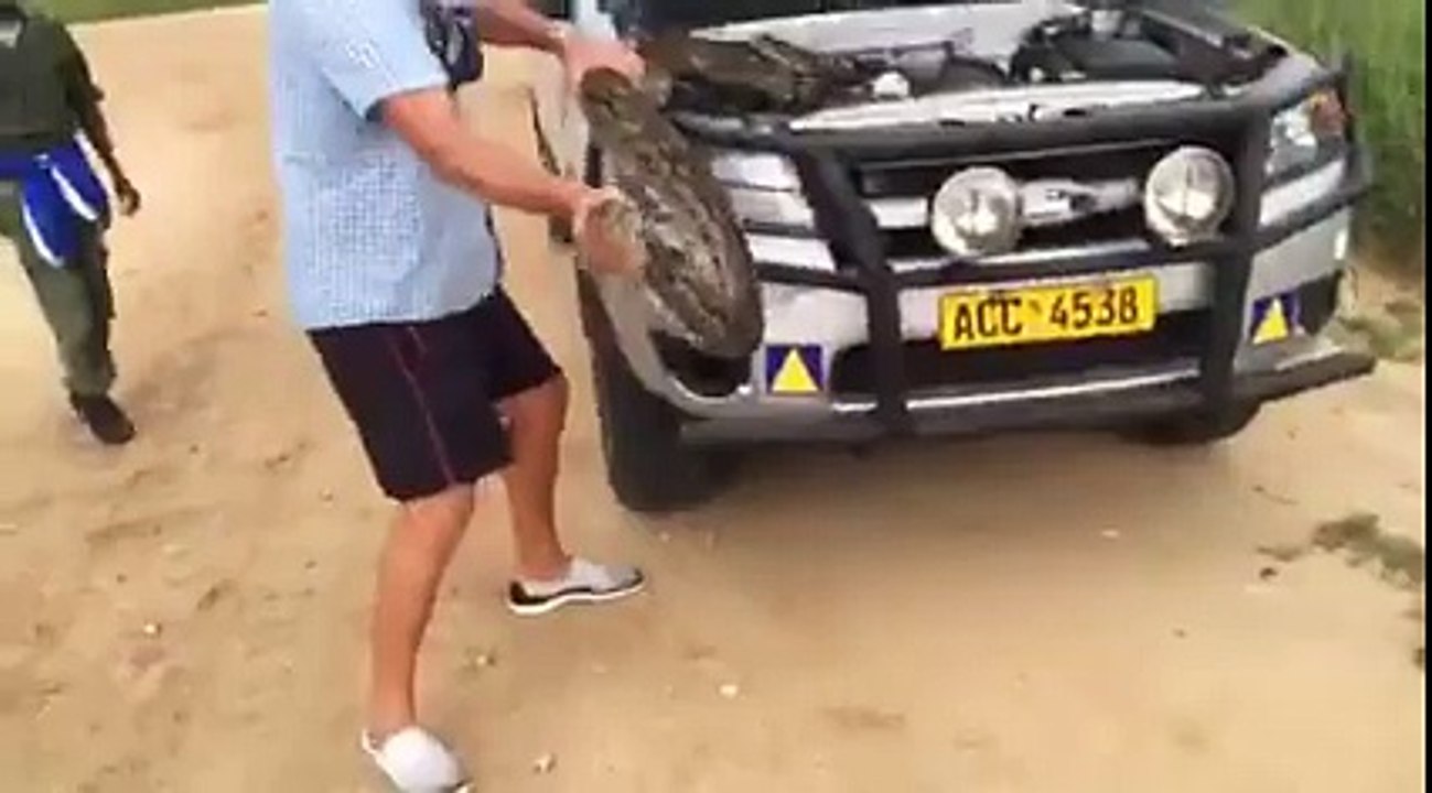 Always-check-under-your-hood-if-there-is-a-strange-noise-or-smell-only-in-FLUVORE