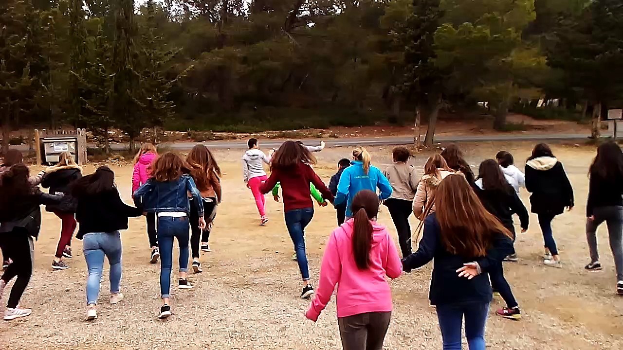 Danses aranaises