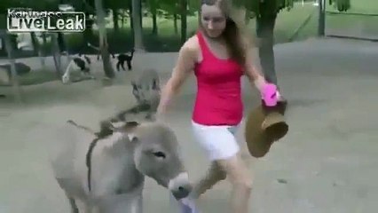 Güzel Kızı Gören Kıskanç Eşek