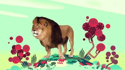 Animal Songs   You Gotta Love a Lion,  by Hello Channel