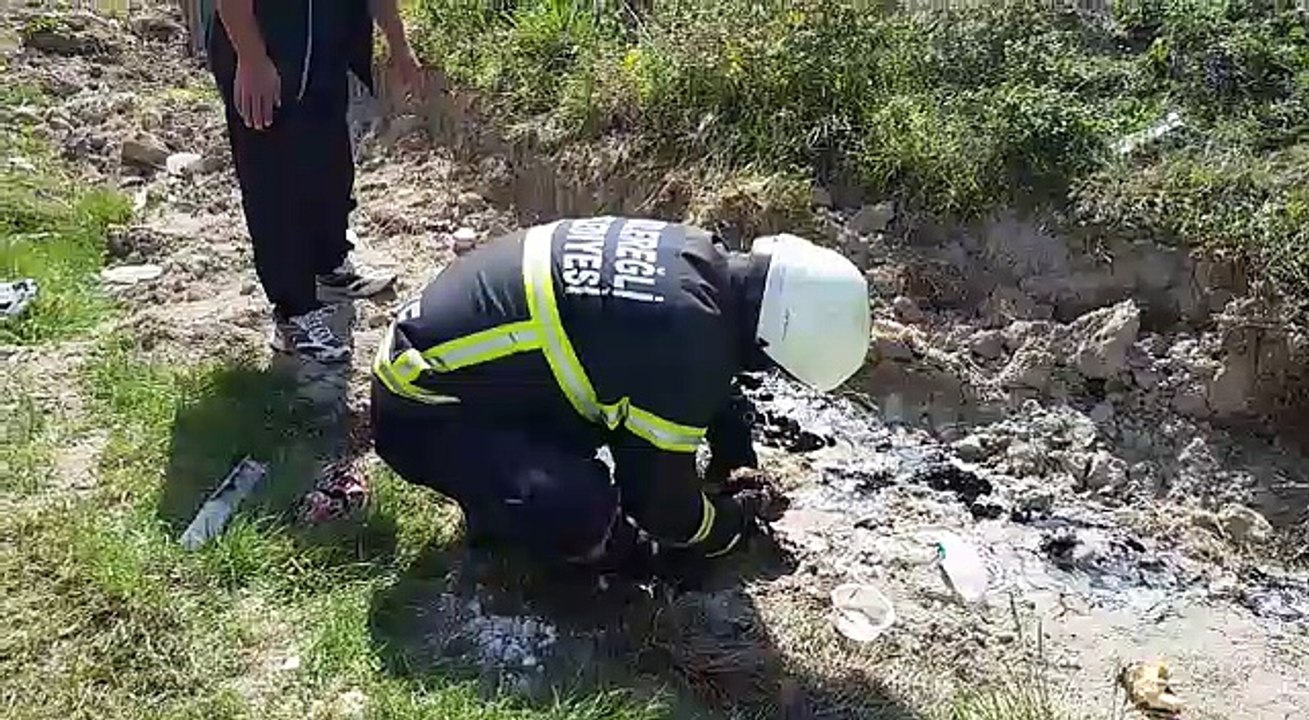 ZİFTE YAPIŞAN YAVRU KÖPEĞİ KDZ. EREĞLİ BELEDİYESİ İTFAİYESİ KURTARDI