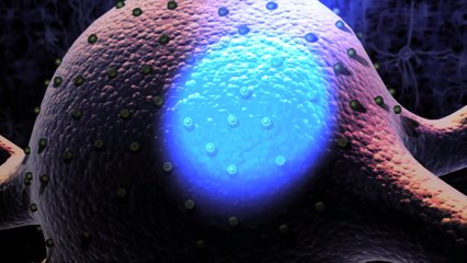 Unlocking the Brain: A Clear Guide to Optogenetics 🧠