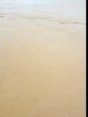 يصور السيل وفجأة شوفوا وش طلع