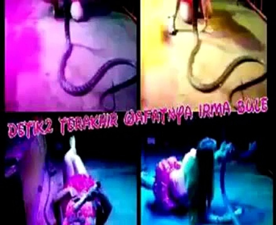 Detik detik pedangdut Irma Bule di gigit ular