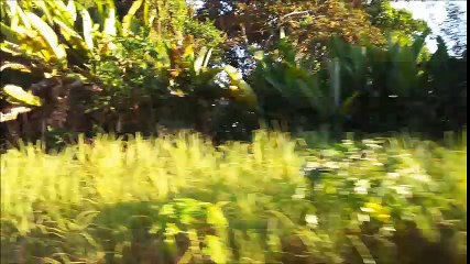 Panama Canal Railway