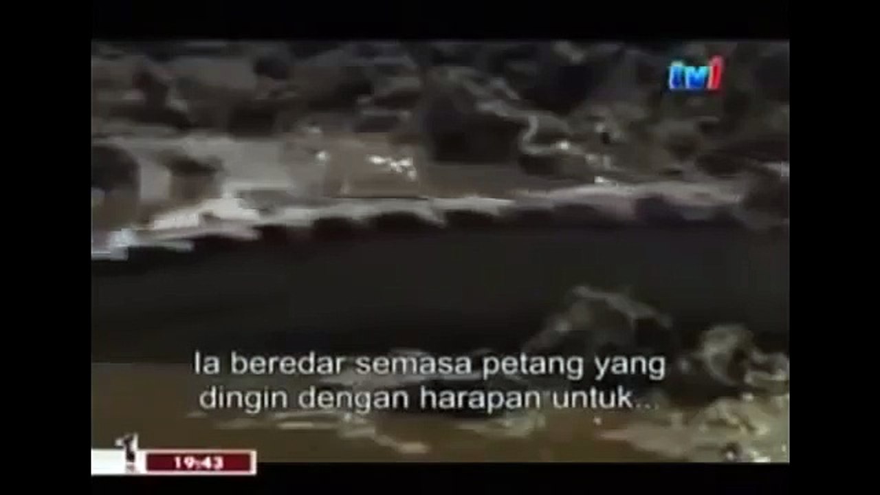 THE KING CROCODILE ATTACKS 29