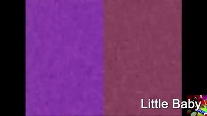 NEIN Csupo in Peppa Pig Major