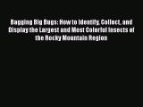 [PDF] Bagging Big Bugs: How to Identify Collect and Display the Largest and Most Colorful Insects