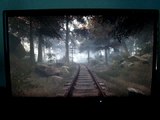 The Vanishing Of Ethan Carter Redux - How to Achieve The Tunnel Achievement [PC]