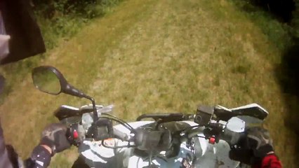 Un petit Spot bien sympa !