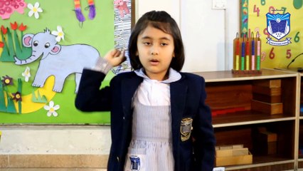 Most impressive speech on Allama Iqbal