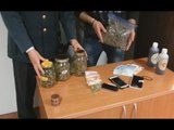 Varese - Marijuana dal Canada a Piacenza via posta aerea: nei guai due fidanzati (06.04.16)
