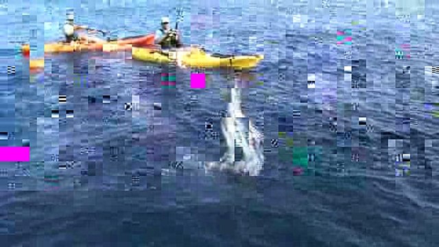 Kayak Fishing '09: Matt Catches a Marlin