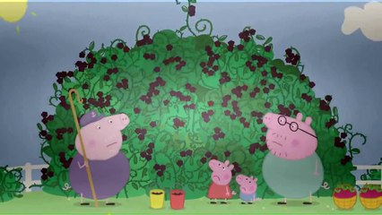 Peppa Pig   English The blackberry bush