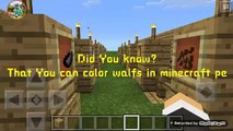Did You know? That You can color walf in minecraft pe.           How to color wolfs in minecraft pe