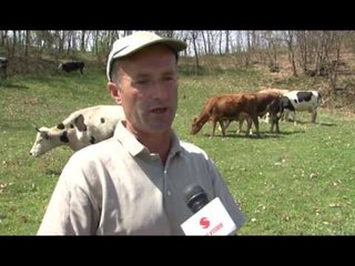 Lajme - Fermeri nga Bardhaniqi Mark Gjoka