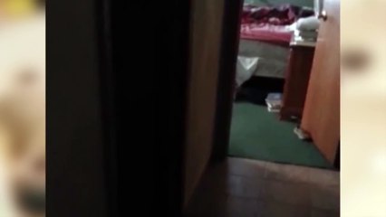 Parents Paint Clown Instead of Shark on Boys Face