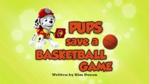 Щенки спасают баскетбольный матч || Pups Save a Basketball Game