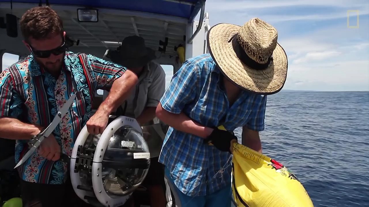 Ученые из США обнаружили в кратере действующего вулкана живых акул