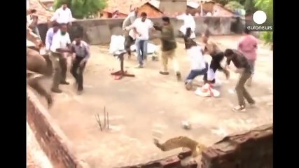 شاهد نمر يهاجم سكان قرية هندية