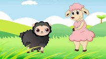 Baa Baa Black Sheep - Childrens Nursery Rhymes song by EFlashApps