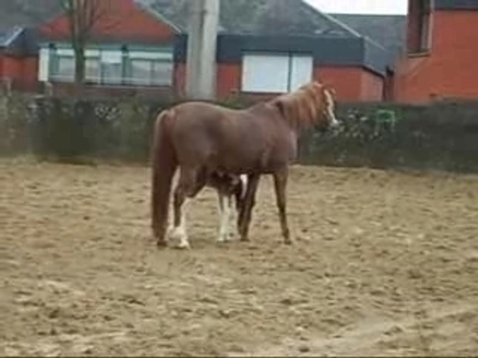 Telquel video 3 jours