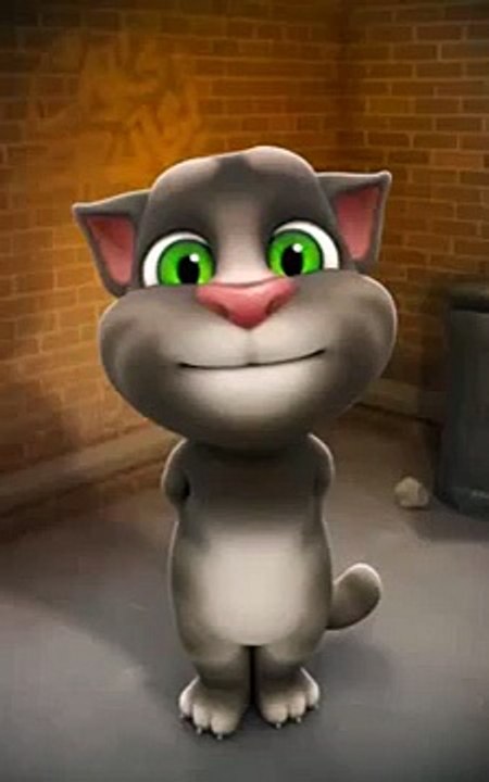 New talking Tom (5)