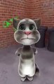 Myanmar talking Tom