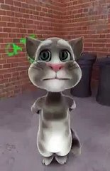 Myanmar talking Tom