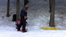 Pursai Family Skiing Dec 2009 - Sledding2