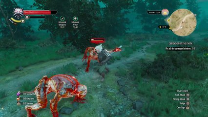 WITCHER 3 DEATH MARCH! WALKTHROUGH 39 - BLOODY BARON